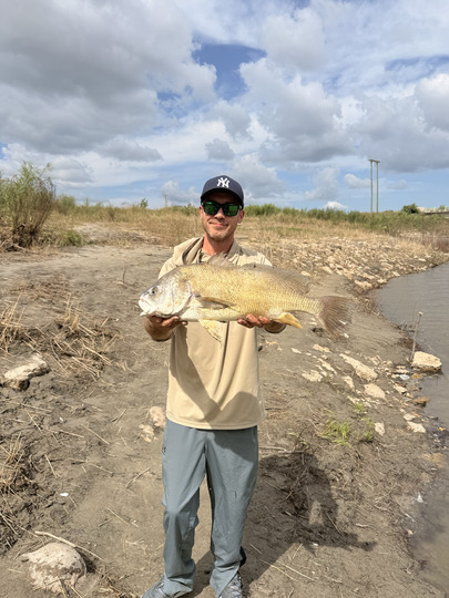 Freshwater Drum