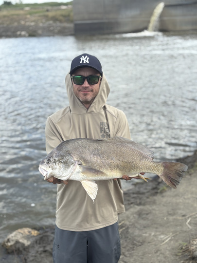 Freshwater Drum