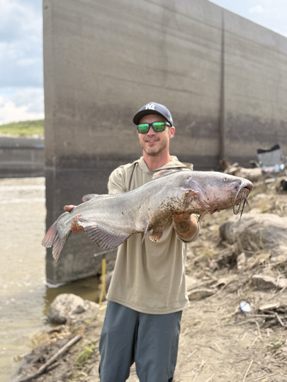 Channel Catfish
