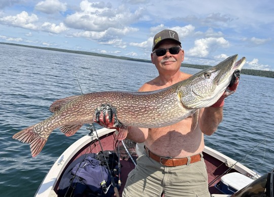 Northern Pike