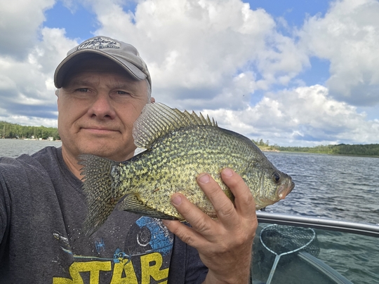 Black Crappie