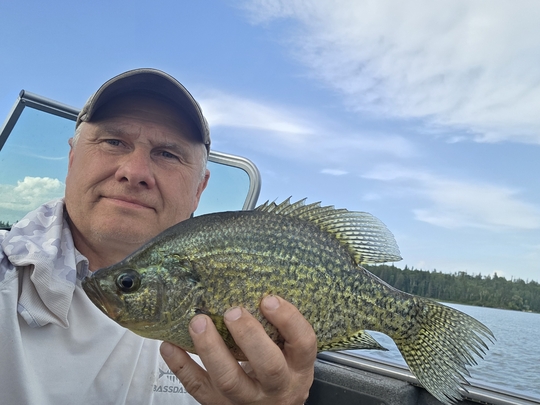 Black Crappie