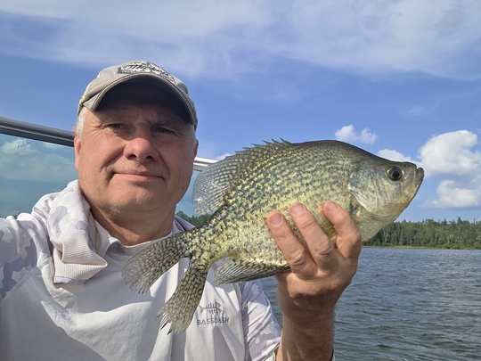 Black Crappie