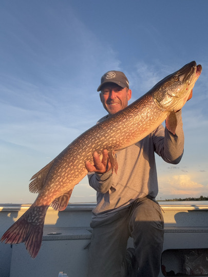 Northern Pike