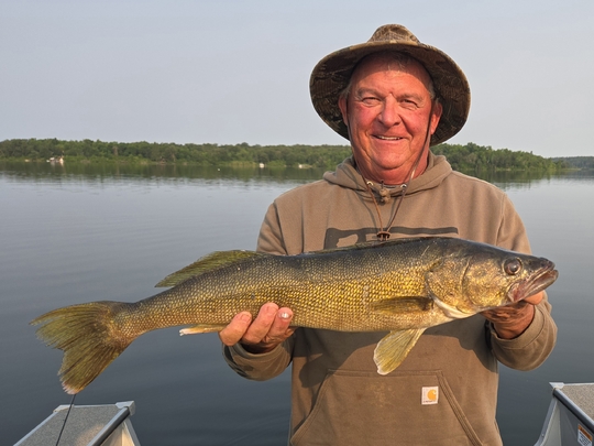 Walleye