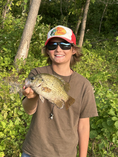 Rock Bass