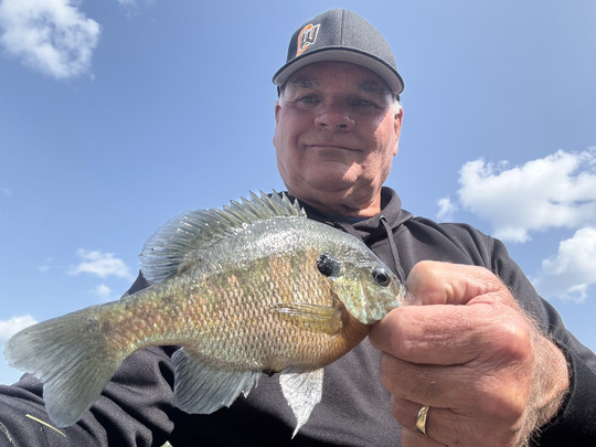 Sunfish
