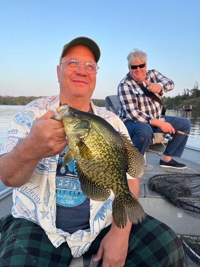 Black Crappie