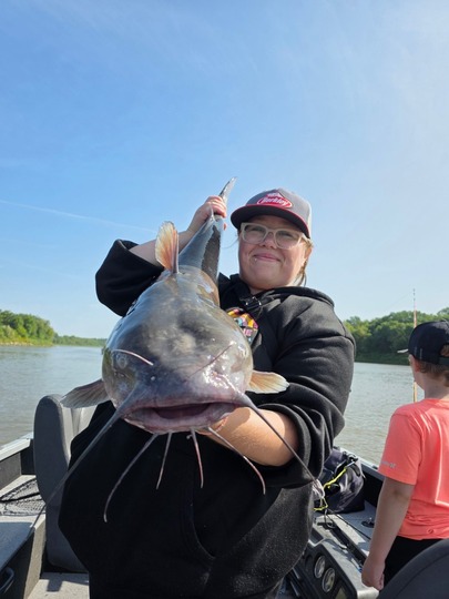 Channel Catfish