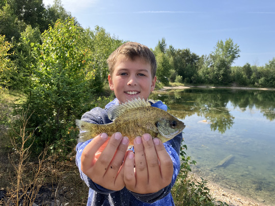 Sunfish