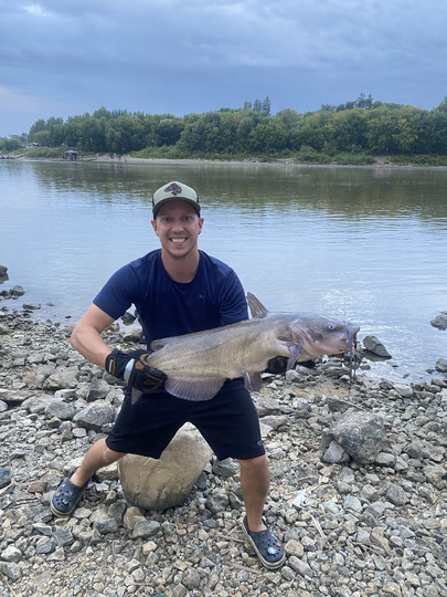 Channel Catfish