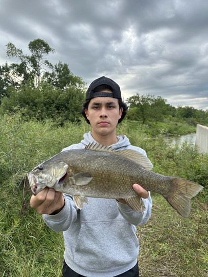 Smallmouth Bass