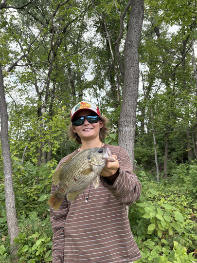 Rock Bass