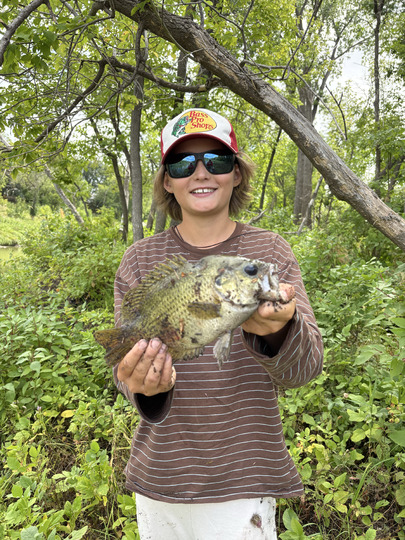 Rock Bass