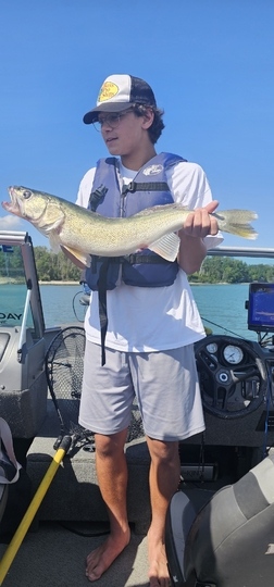 Walleye