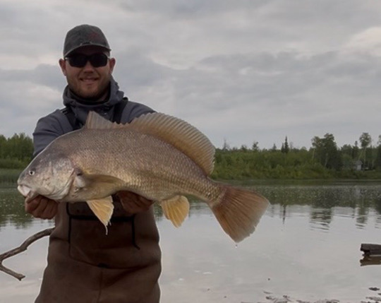 Freshwater Drum