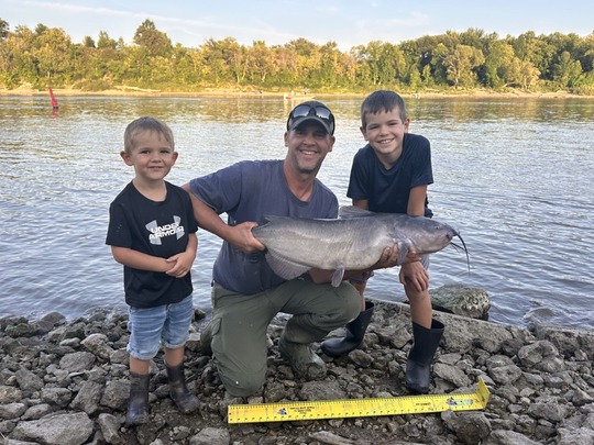 Channel Catfish