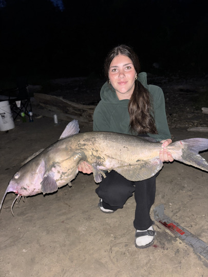 Channel Catfish