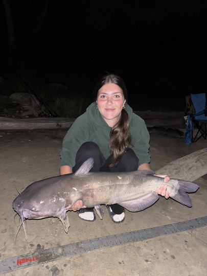 Channel Catfish