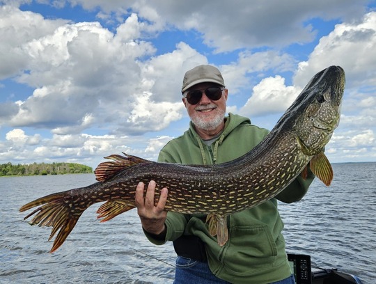 Northern Pike