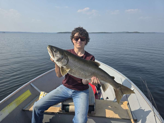 Lake Trout