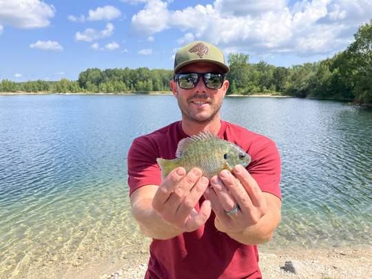 Sunfish