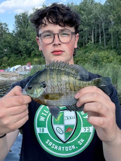 Sunfish