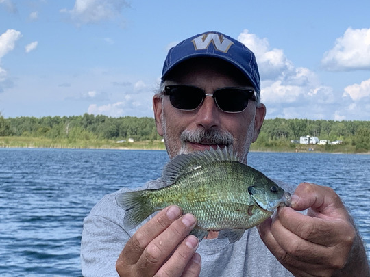 Sunfish