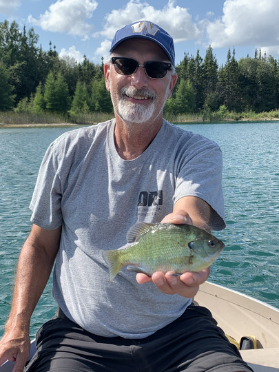 Sunfish