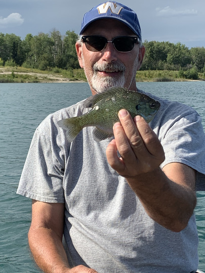 Sunfish