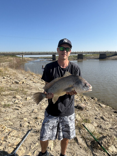Freshwater Drum