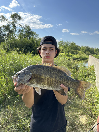 Smallmouth Bass