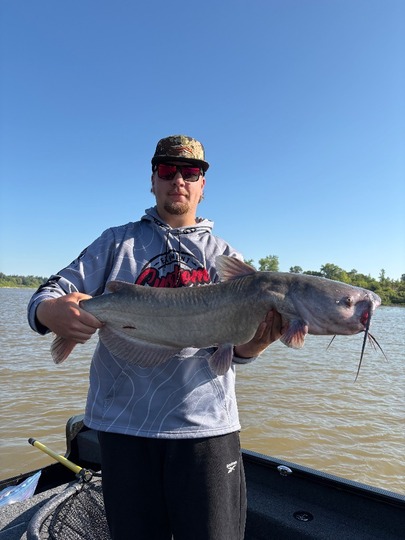 Channel Catfish