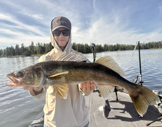 Walleye