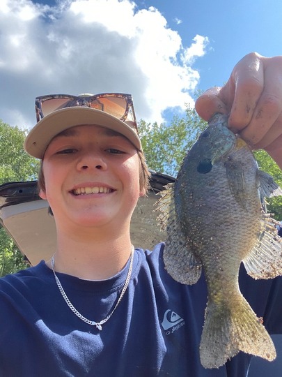 Sunfish