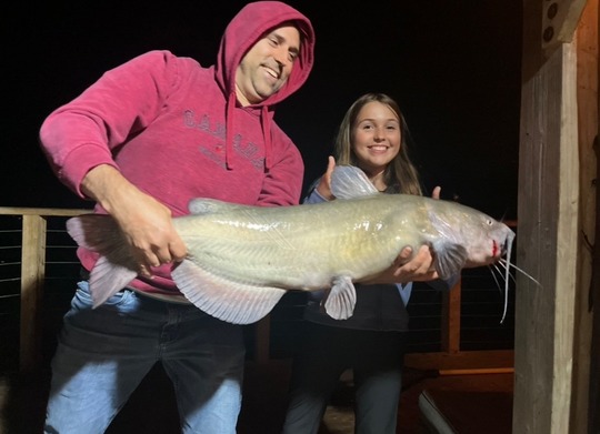 Channel Catfish