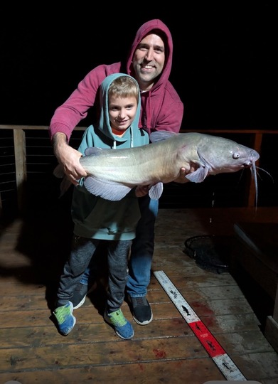 Channel Catfish