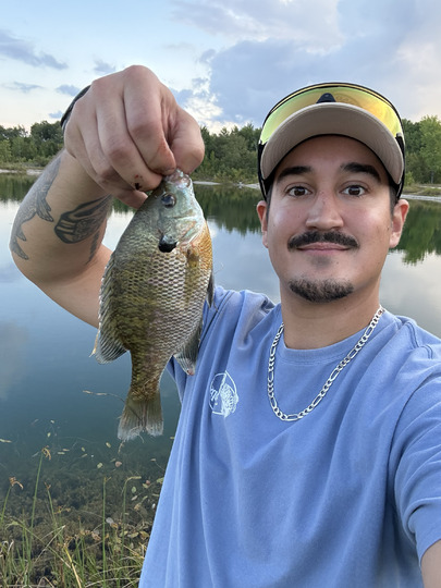 Sunfish