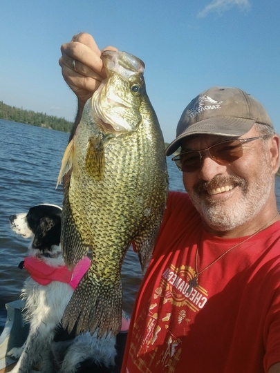 Black Crappie