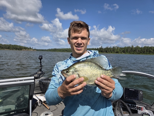 Black Crappie
