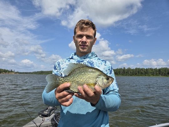 Black Crappie