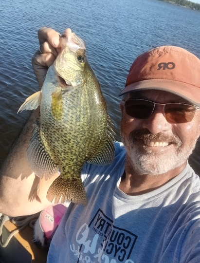 Black Crappie