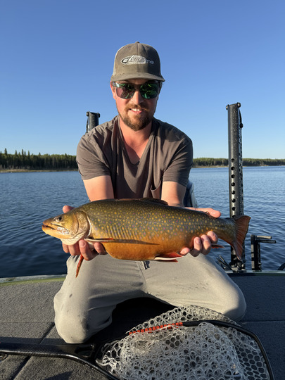 Brook Trout