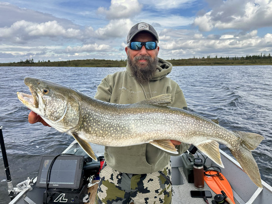 Lake Trout