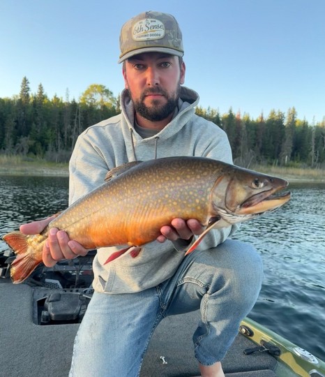 Brook Trout