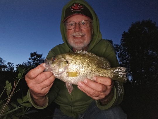 Rock Bass