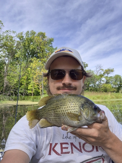Rock Bass