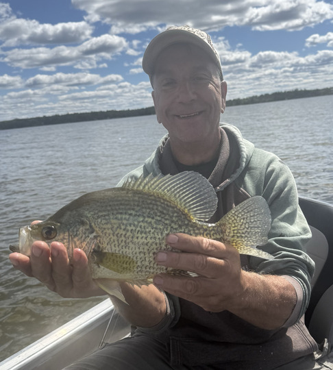 Black Crappie