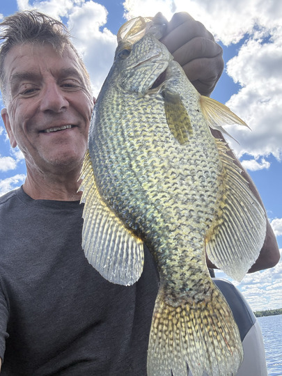 Black Crappie
