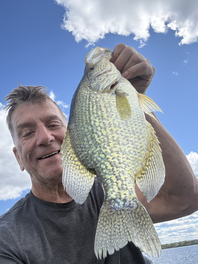 Black Crappie